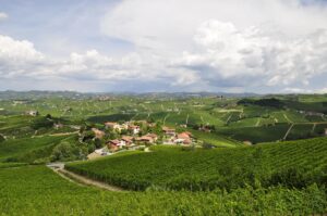 Wijngaarden in de heuvels van de Langhe in Piemonte